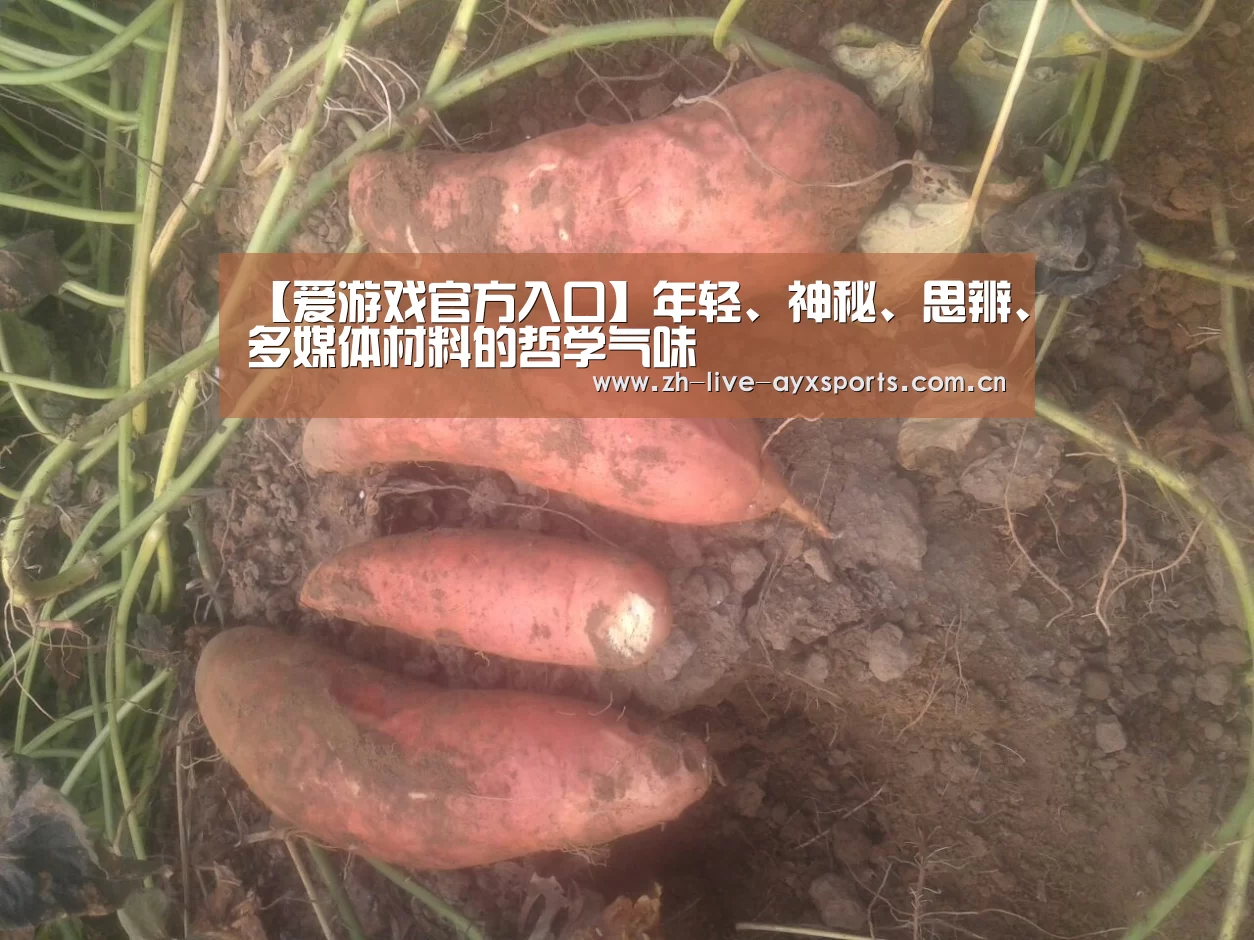【爱游戏官方入口】年轻、神秘、思辨、多媒体材料的哲学气味(图1) 爱游戏平台
