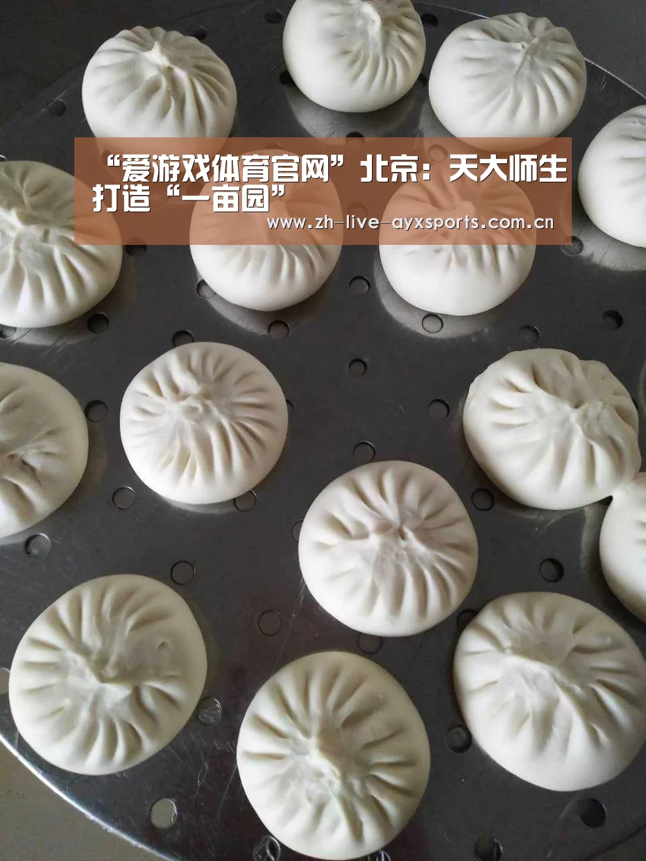 爱游戏平台